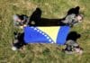 Oružane snage BiH pružile podršku Zmajevima pred početak Svjetskog prvenstva