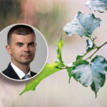 Hoće li pljuskovi u BiH pokvariti gledanje utakmice Zmajeva na otvorenom?