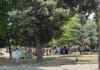 Euforija zbog Mundijala ne jenjava: Gradski park u Tuzli ispunjen kolekcionarima i navijačima