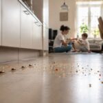 Pojava žohara u stanovima i zgradama može predstavljati ozbiljan zdravstveni rizik žohar, žohari