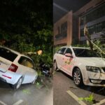Drvo palo na automobil u Tuzli: Može li vlasnik dobiti odštetu? Drvo palo na automobil u Tuzli: Može li vlasnik dobiti odštetu?