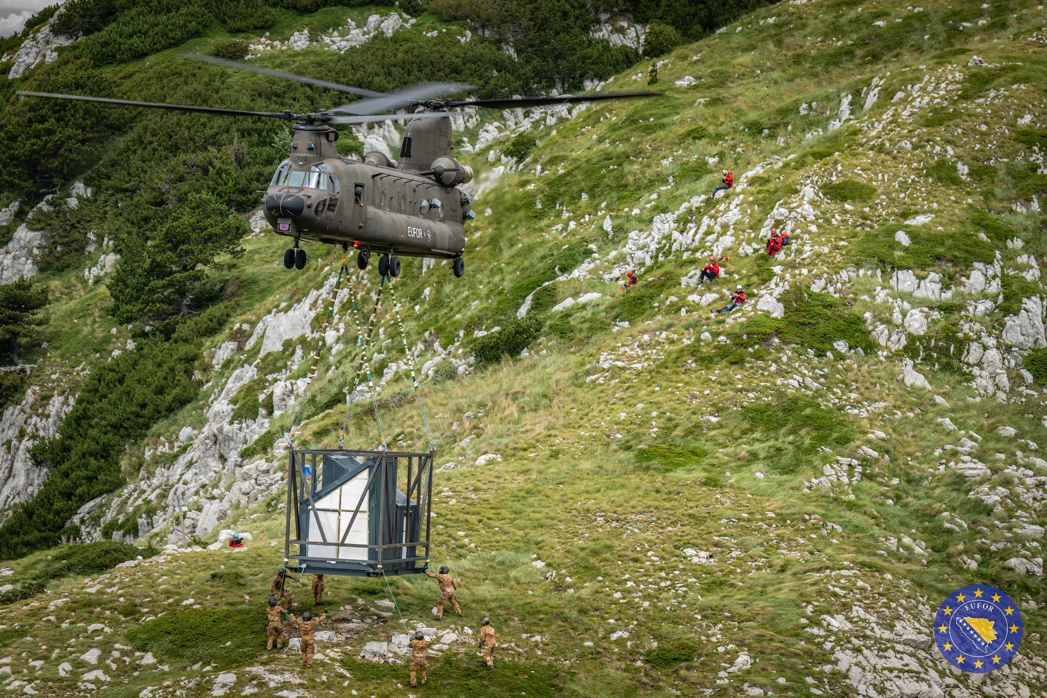 eufor 6