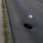Vlada TK osigurala skoro 5 miliona KM za lokalne ceste Vlada TK osigurala skoro pet miliona KM za lokalne ceste