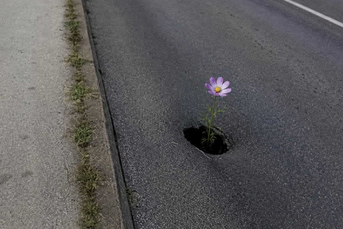 sanacija cesta Vlada TK osigurala skoro pet miliona KM za lokalne ceste