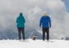 Alma, Denis i Macika bili su nerazdvojni: Posljednju poruku poslali s Elbrusa