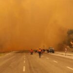 Požari u Turskoj mobilizirali hiljade vatrogasaca i desetine letjelica Požari u Turskoj mobilizirali hiljade vatrogasaca i desetine letjelica