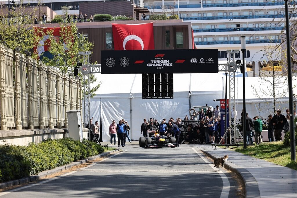 Istanbulske mačke osvojile svijet: Kako su postale jedan od najprepoznatljivijih simbola grada
