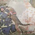 Preminula Ginger Rain, prvi vatrogasni potražni pas u Hrvatskoj