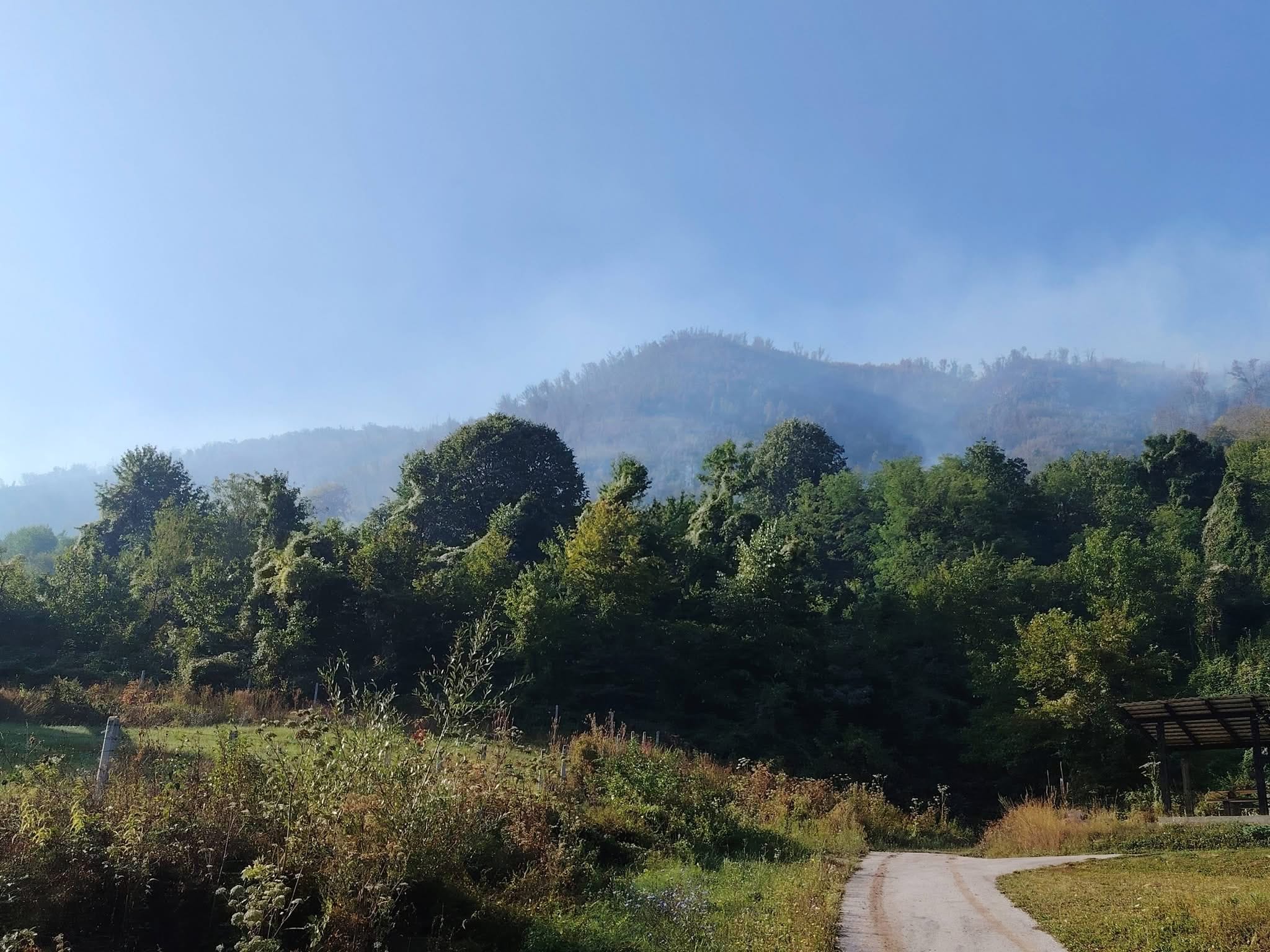 Kalesija požar