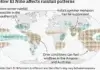 Pacifik, El Nino
