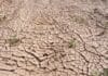 Hrvatski poljoprivrednici traže fond zbog suše i klimatskih promjena Suša, supe, hrvatski poljoprivrednici