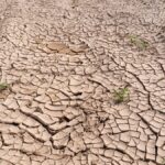 Hrvatski poljoprivrednici traže fond zbog suše i klimatskih promjena Suša, supe, hrvatski poljoprivrednici