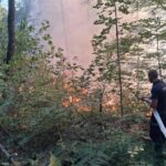 Požar kod Kladnja pod kontrolom, vatrogasci i radnici Šuma TK ostaju na terenu