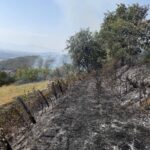 Požari u TK: Vatrogasci intervenisali na nekoliko lokacija pozar, pozari u TK