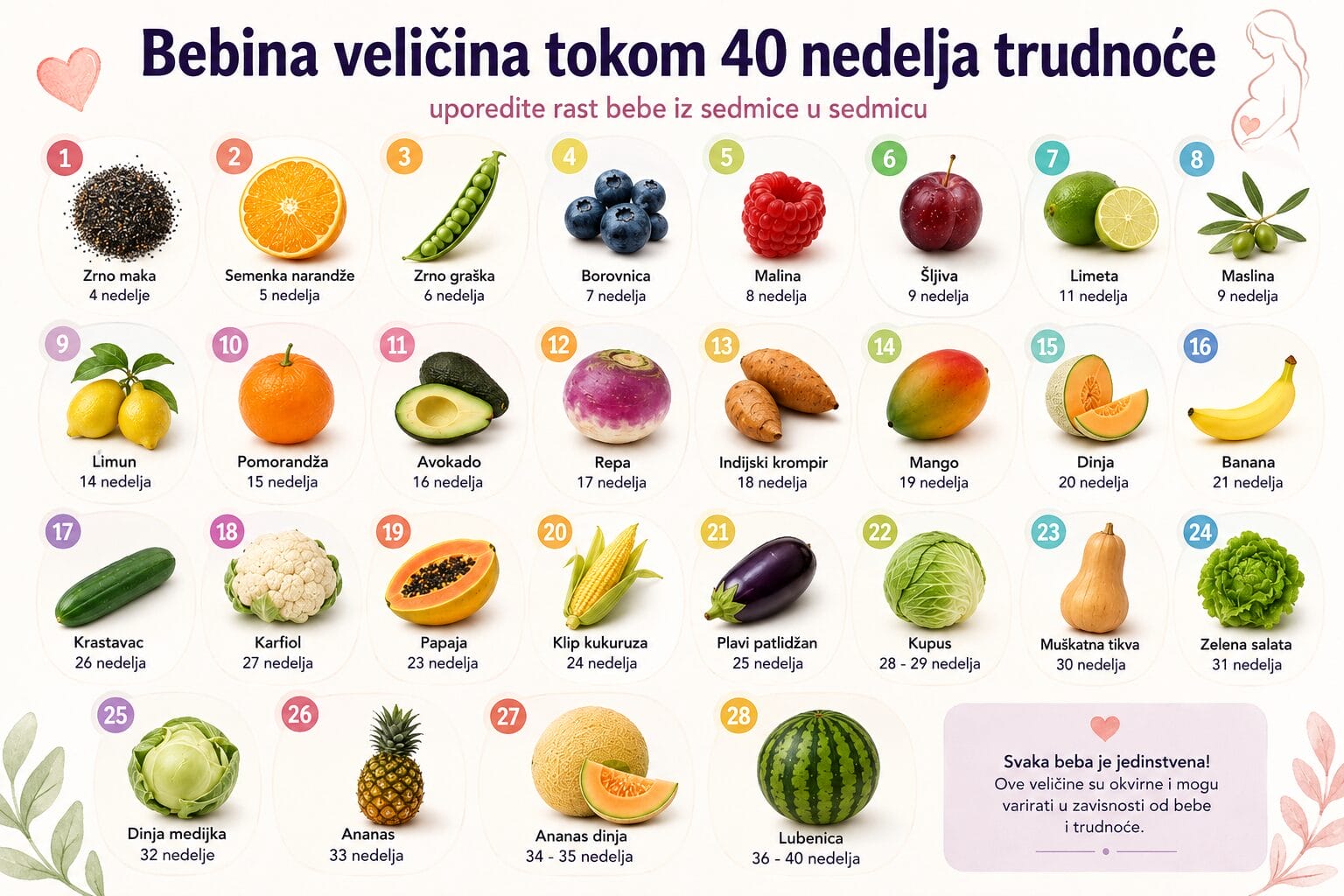 trudnoća Veličina bebe po sedmicama trudnoće: Od zrna maka do lubenice