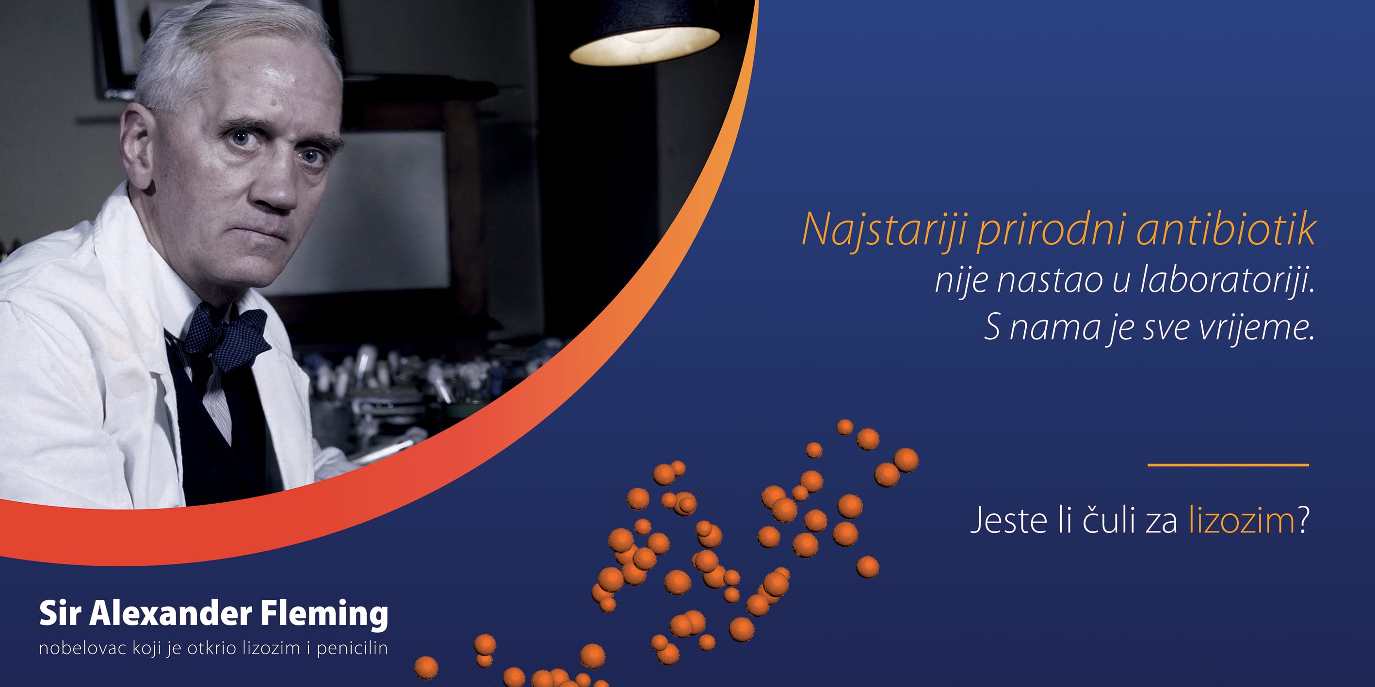 Alexander_Fleming_horizontal_original Lizozim je Fleming otkrio prije penicilina, danas ga nazivaju „enzimom budućnosti“