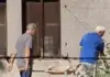 Prase pekli u Botaničkoj bašti u Sarajevu: Zemljaski muzej traži reakciju nadležnih Prase pekli u Botaničkoj bašti u Sarajevu: Zemljaski muzej traži reakciju nadležnih