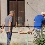 Prase pekli u Botaničkoj bašti u Sarajevu: Zemljaski muzej traži reakciju nadležnih