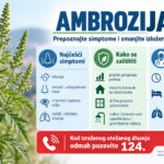 Ambrozija u sezoni cvjetanja: Prepoznajte simptome i smanjite izloženost polenu Ambrozija u sezoni cvjetanja: Prepoznajte simptome i smanjite izloženost polenu