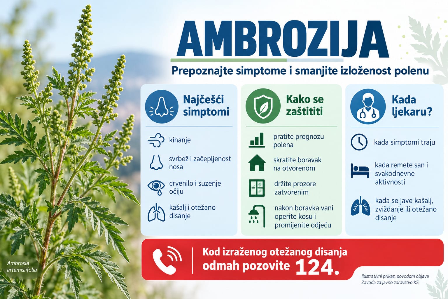 Ambrozija u sezoni cvjetanja: Prepoznajte simptome i smanjite izloženost polenu