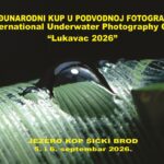 Međunarodni kup u podvodnoj fotografiji