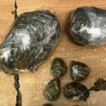 Policijska akcija u Kladnju: Kod Tuzlaka pronađena droga Policijska akcija u Kladnju: Kod Tuzlaka pronađena droga