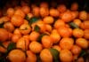 Mandarine iz Hrvatske pokušao unijeti u BiH bez dokumentacije, zaustavljen kod Ljubuškog Mandarine iz Hrvatske pokušao unijeti u BiH bez dokumentacije, zaustavljen kod Ljubuškog