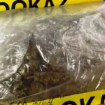 Pretresi na više lokacija u TK: Pronađena droga, dvije osobe lišene slobode Pretresi na više lokacija u TK: Pronađena droga, dvije osobe lišene slobode
