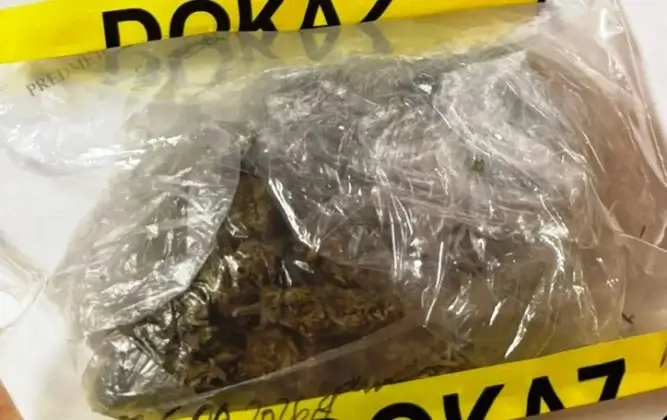 Pretresi na vi&scaron;e lokacija u TK: Pronađena droga, dvije osobe li&scaron;ene slobode