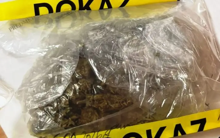 Pretresi na više lokacija u TK: Pronađena droga, dvije osobe lišene slobode