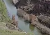 Turska obnavlja most star hiljadu godina na granici s Armenijom Turska