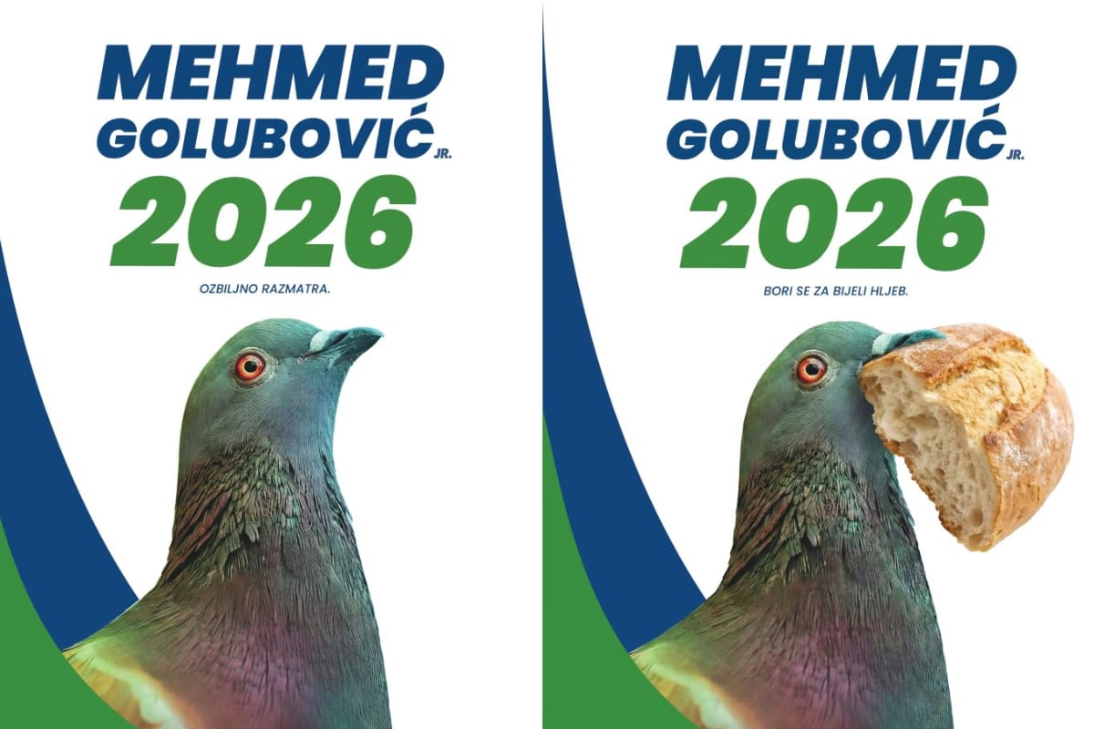 mehmed golubović Glas za goluba kao protest mladih pred izbore