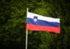 BH dijaspora bi mogla izgubiti pravo glasa u Sloveniji Slovenija - zastava, pravo glasa, dijaspora