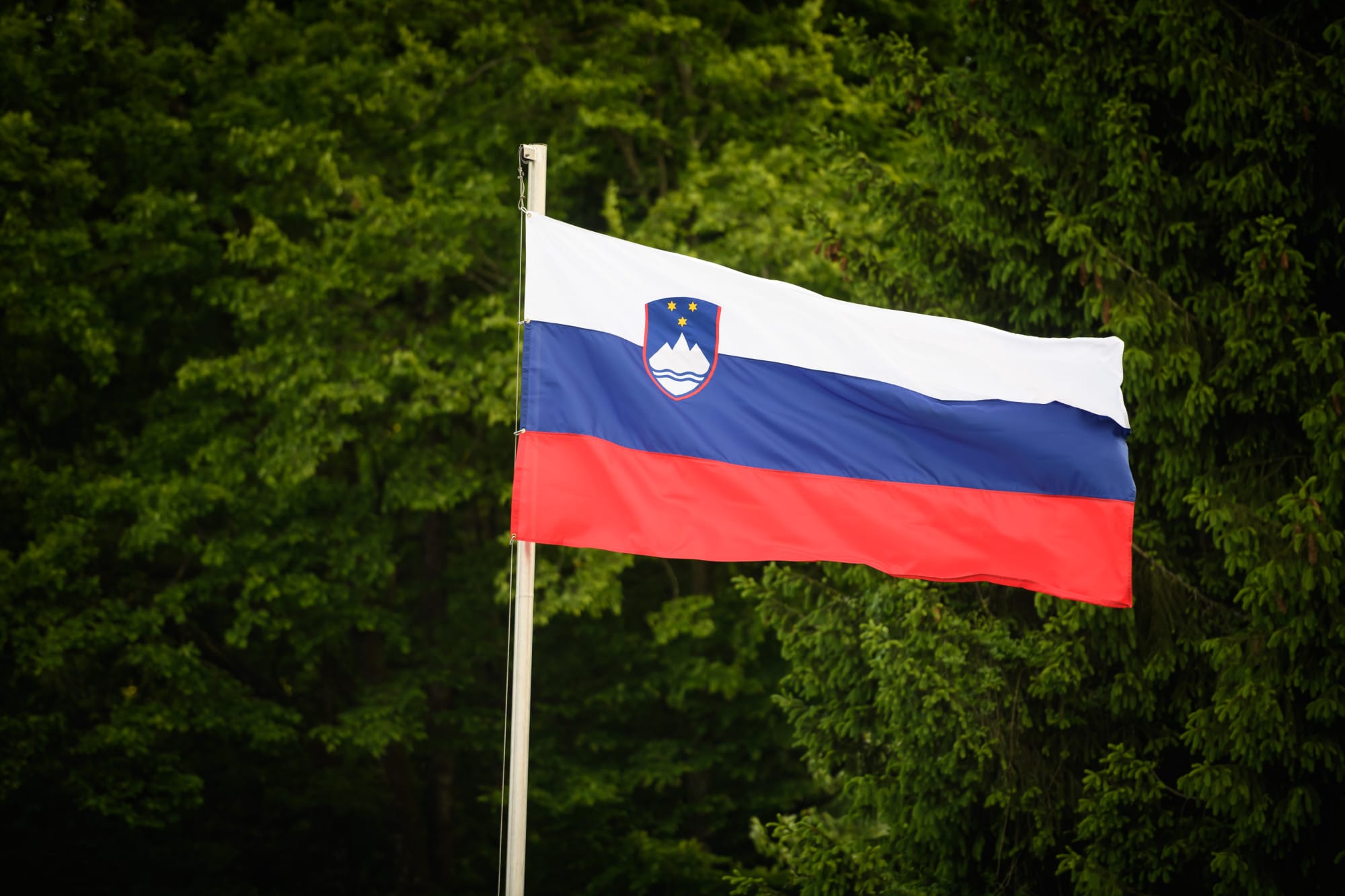 Slovenija - zastava Slovenija - zastava, pravo glasa, dijaspora